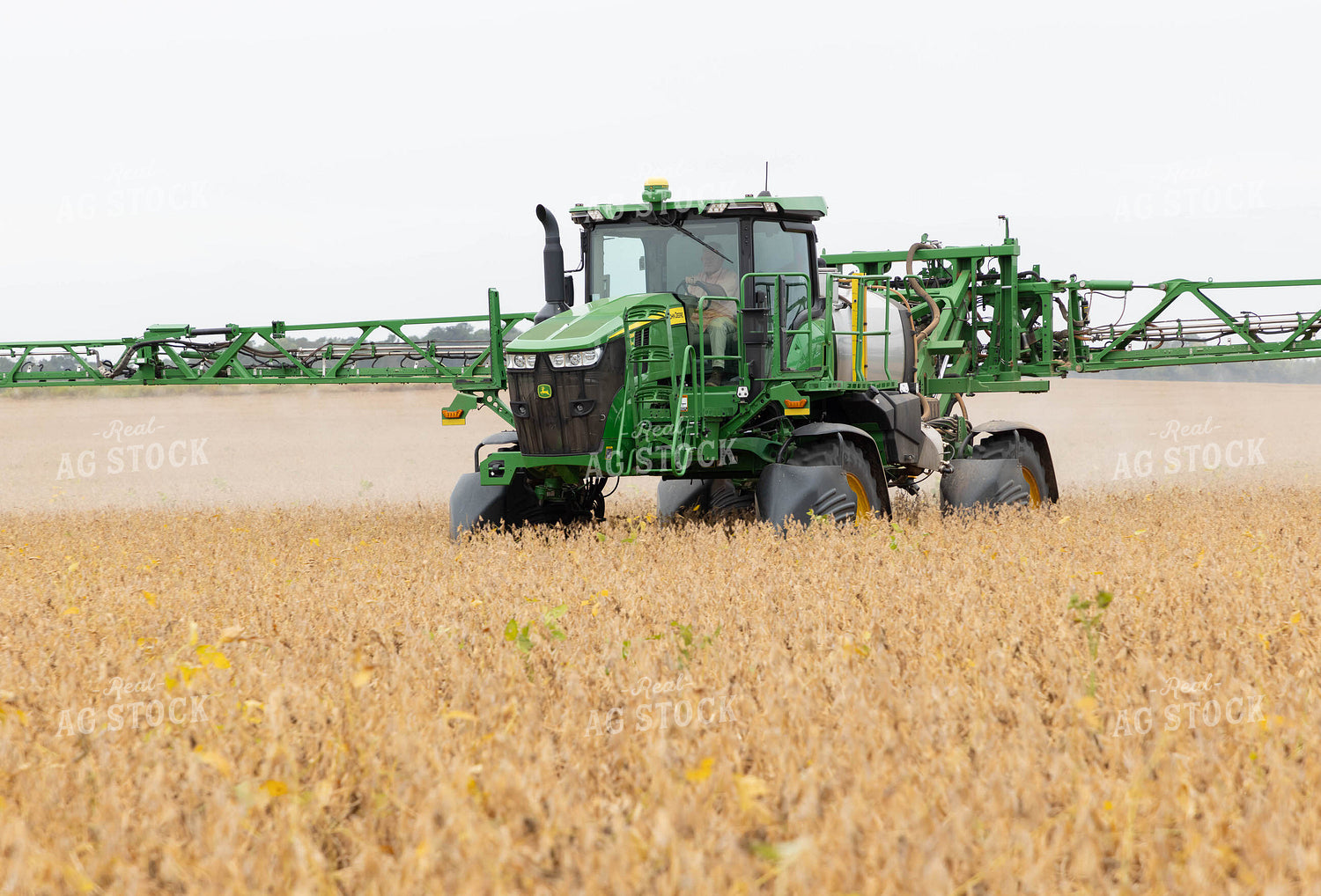 Spraying Soybeans 79529