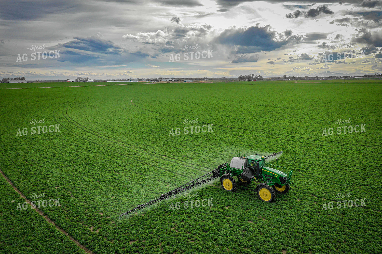 Spraying Alfalfa Hay 56015