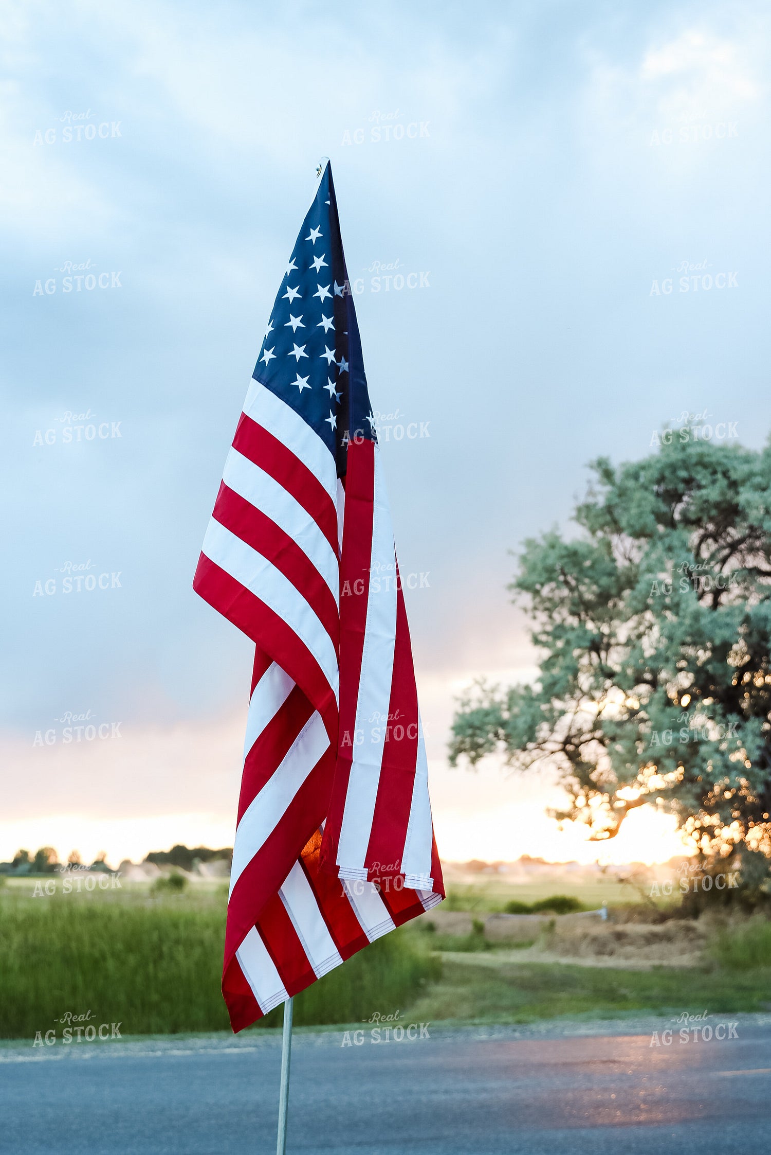 Flag in Farm Yard 83050