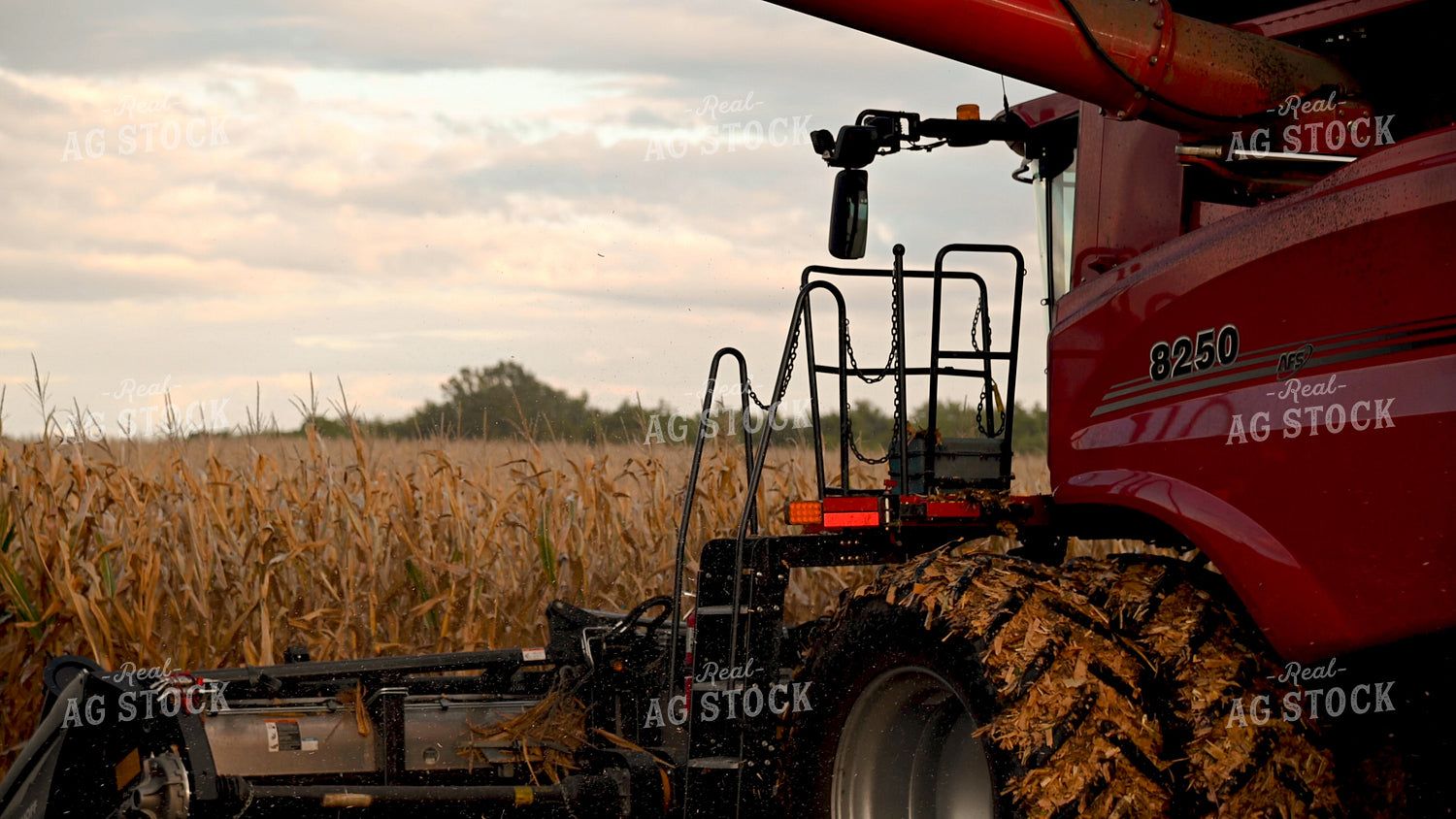 Combine Harvesting Corn 25652