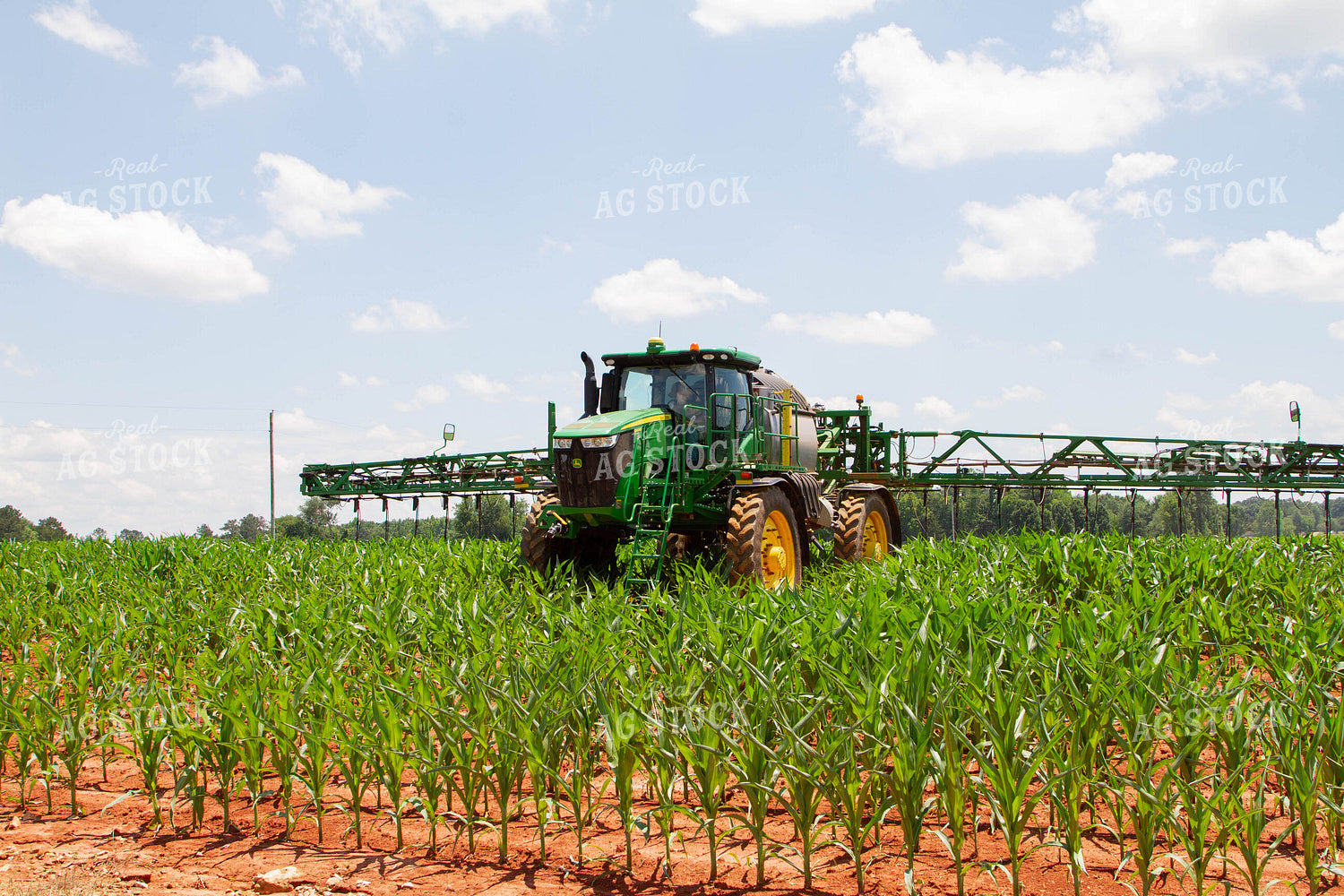 Sprayer with Y-Drop Nitrogen in Field 79051