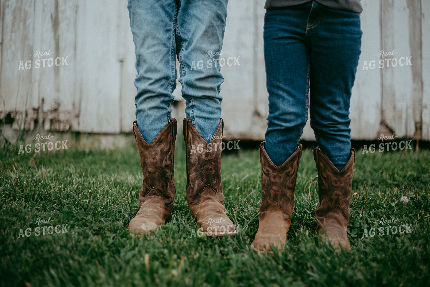 Cowboy Boots in Grass 111013