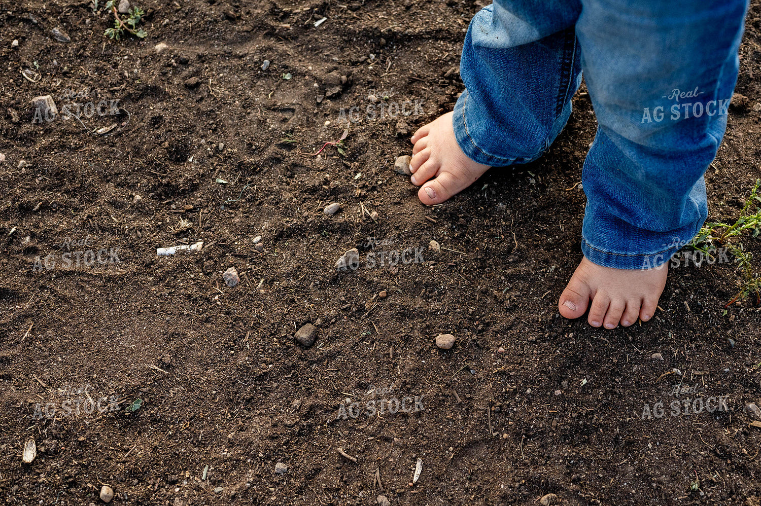Farm Kid Toes in the Dirt 185042