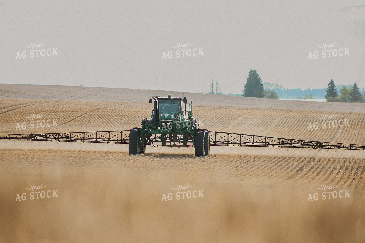 Spraying 187029