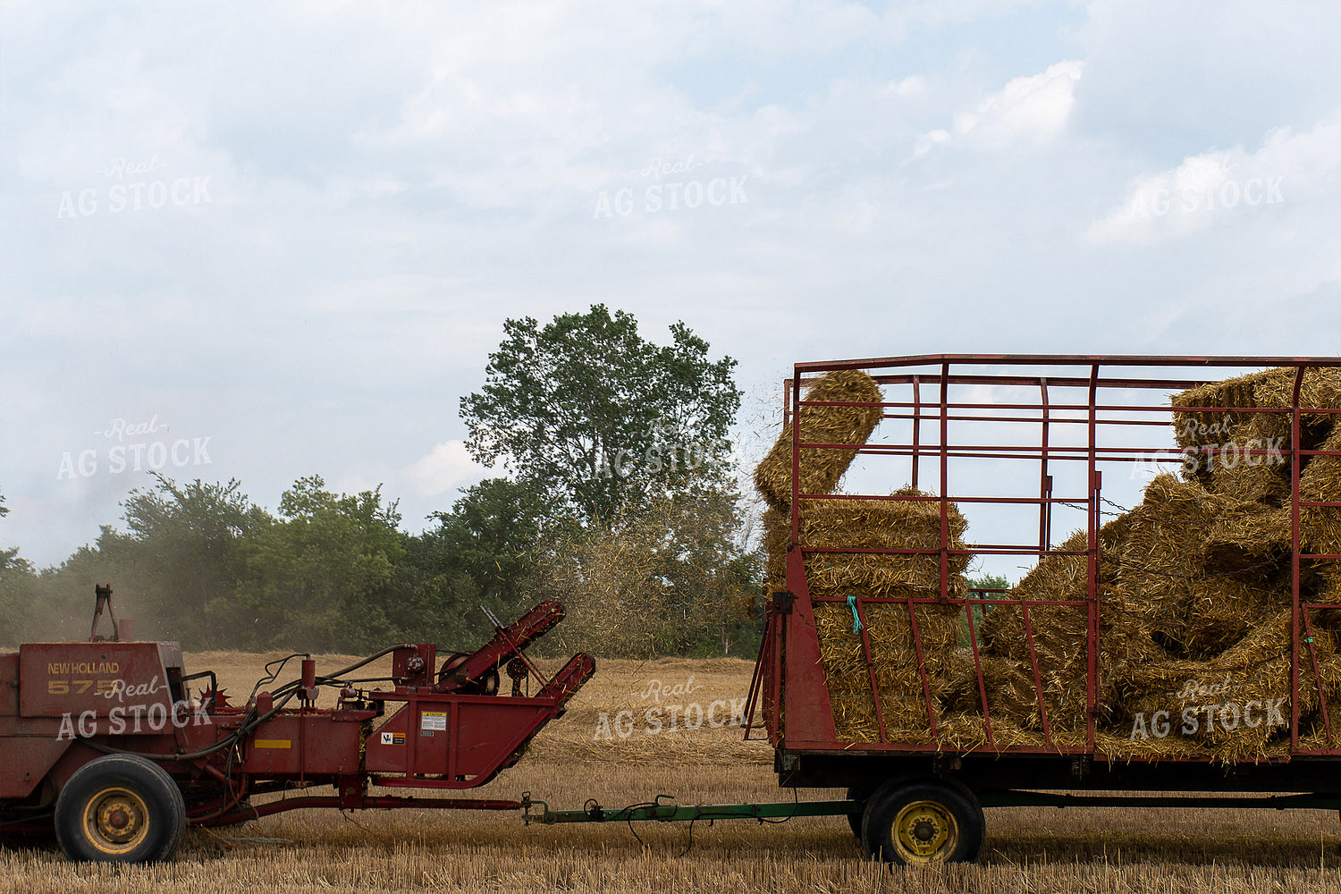 Baling Straw 50140