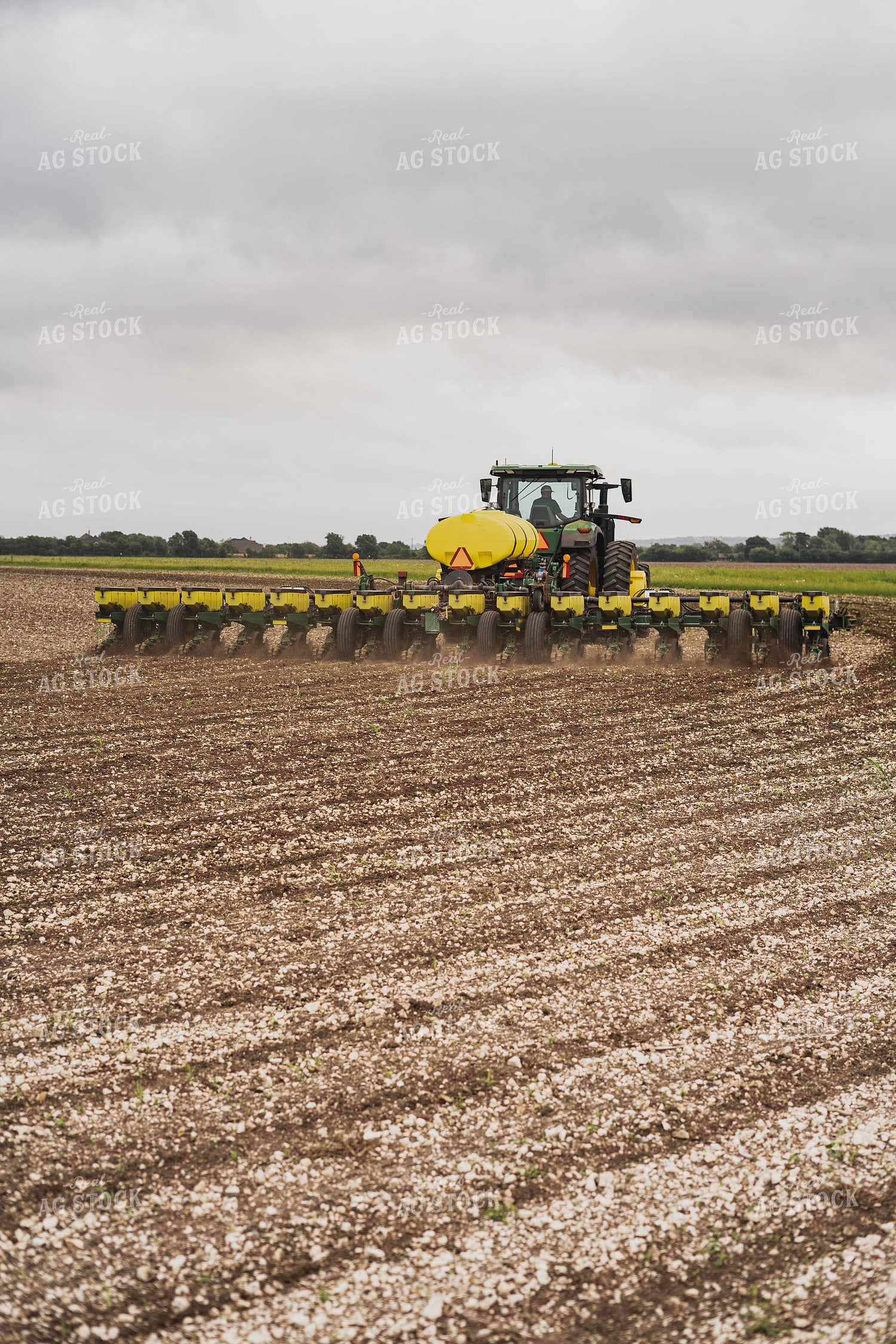 Planting 91059