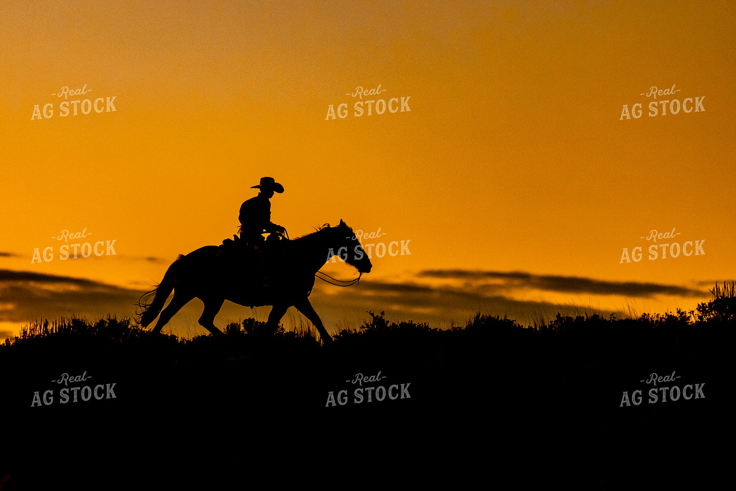 Cowboy Silhouette 188172