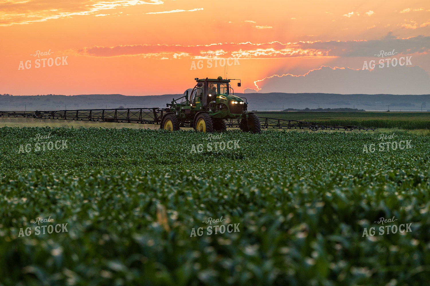 Spraying Corn 72132