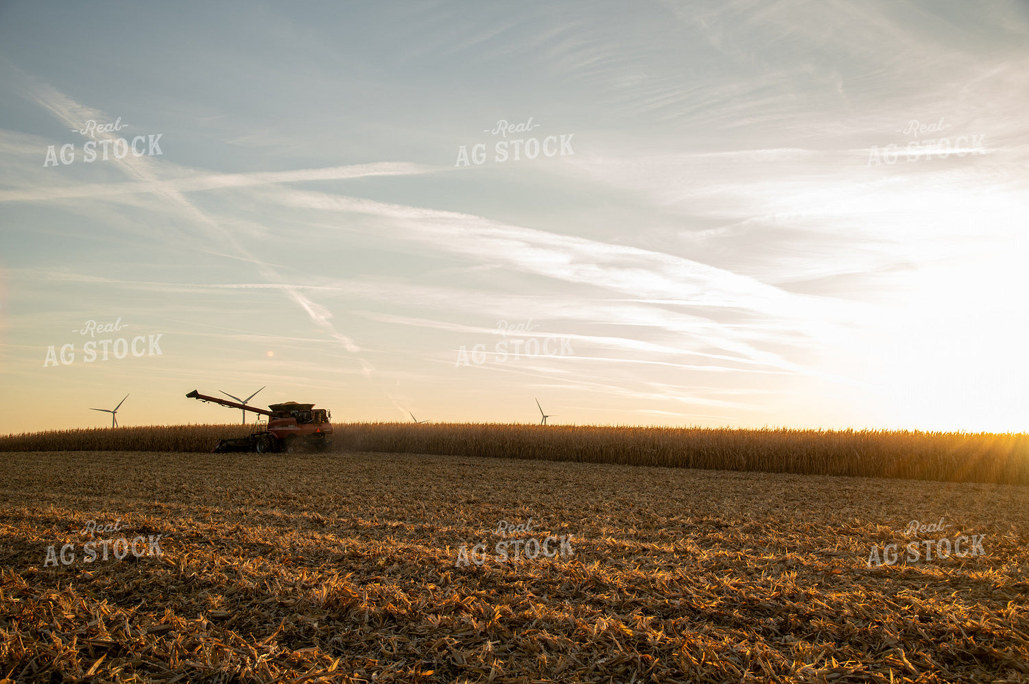 Combine Harvesting Corn at Sunset 25843