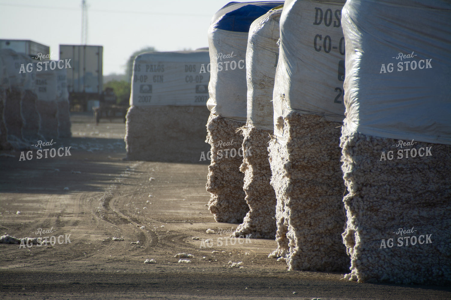 Cotton Bales 105042