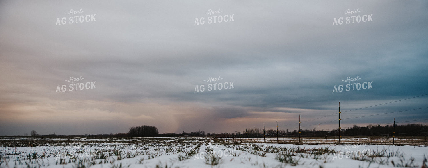 Snowy Field 68000