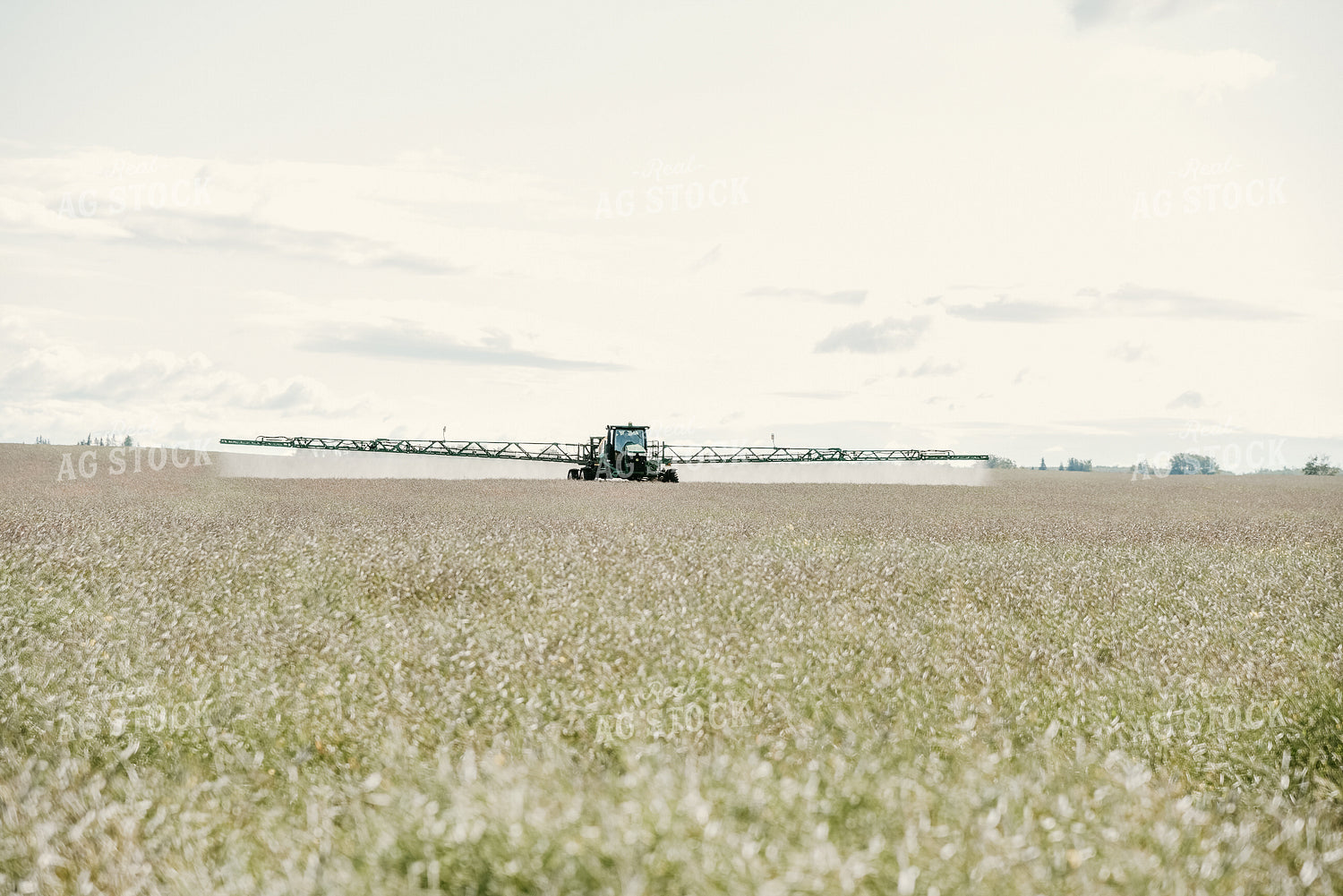 Spraying Wheat 64100