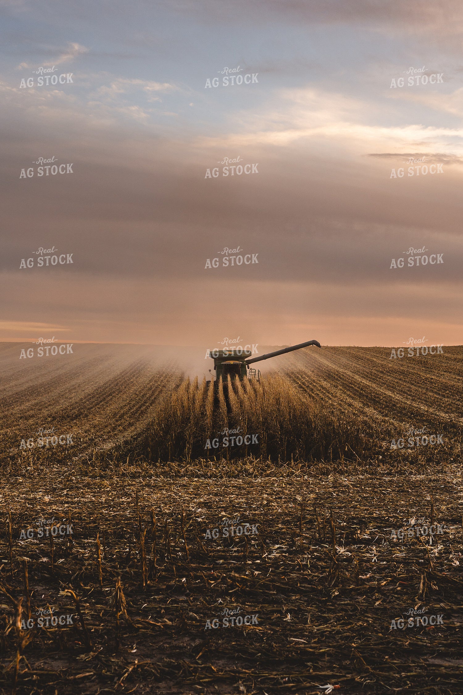 Harvest 196035