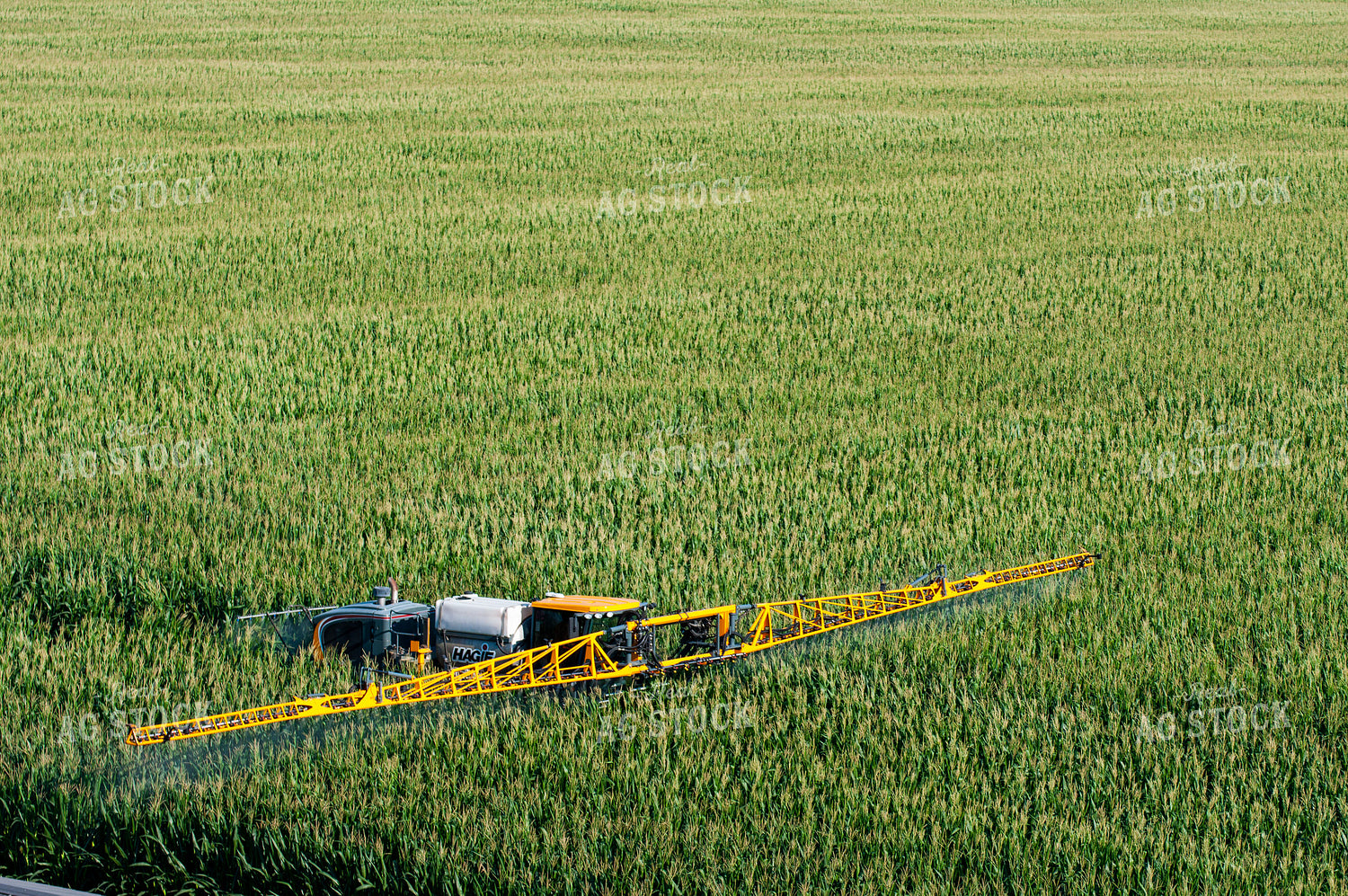 Sprayer Spraying Summer Corn 103012