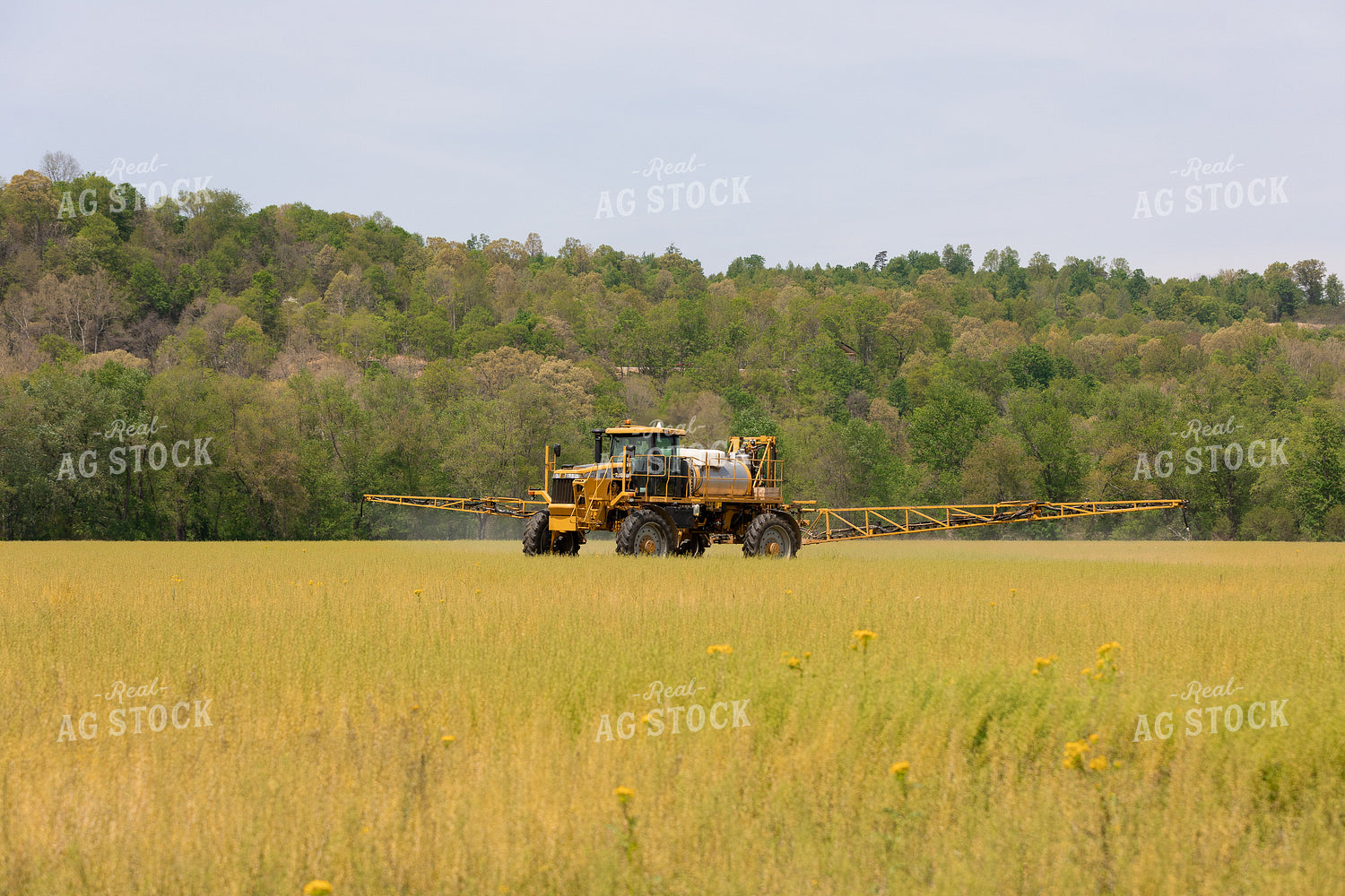 Self Propelled Sprayer 52619