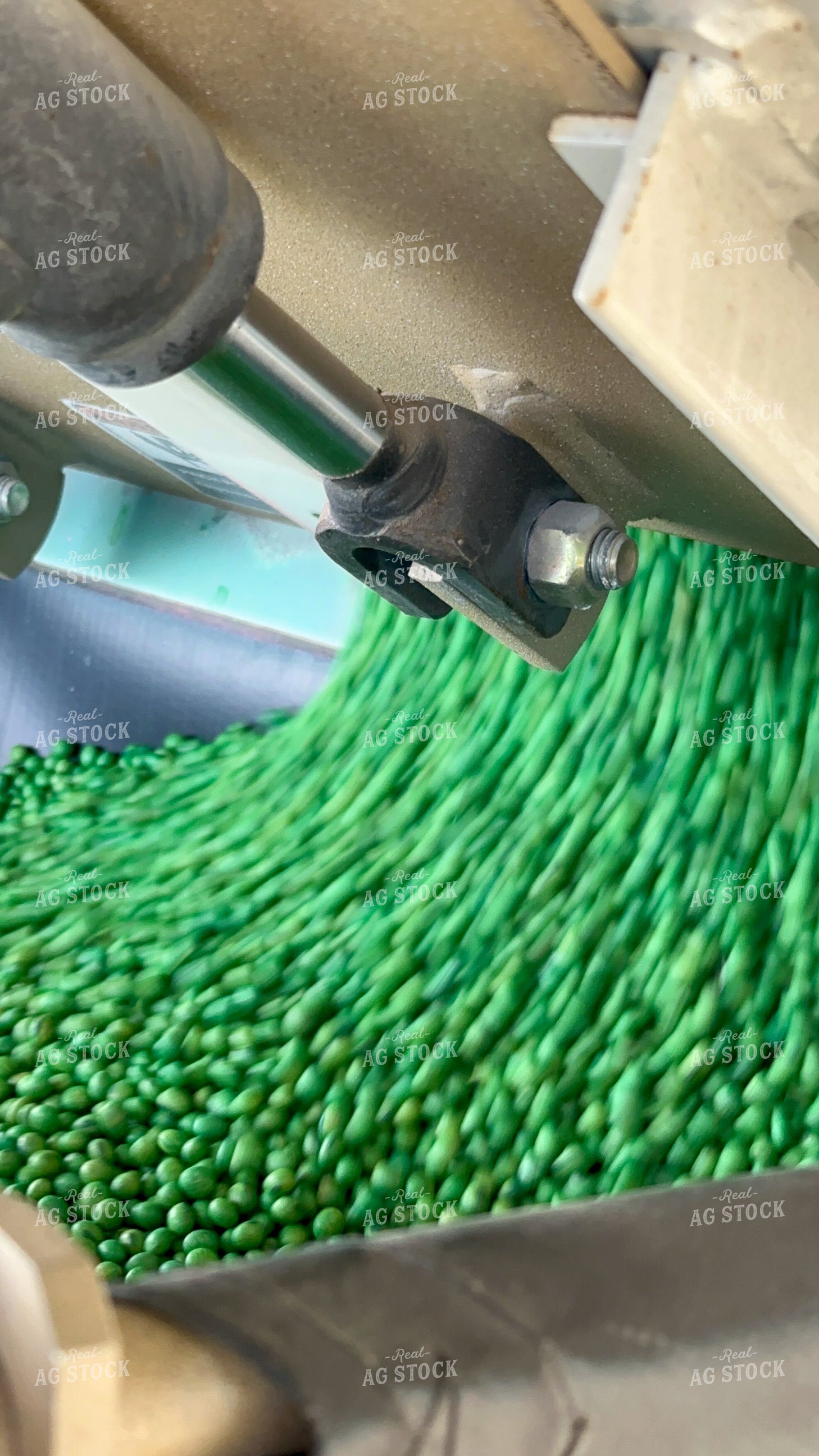 Treated Seeds 84149