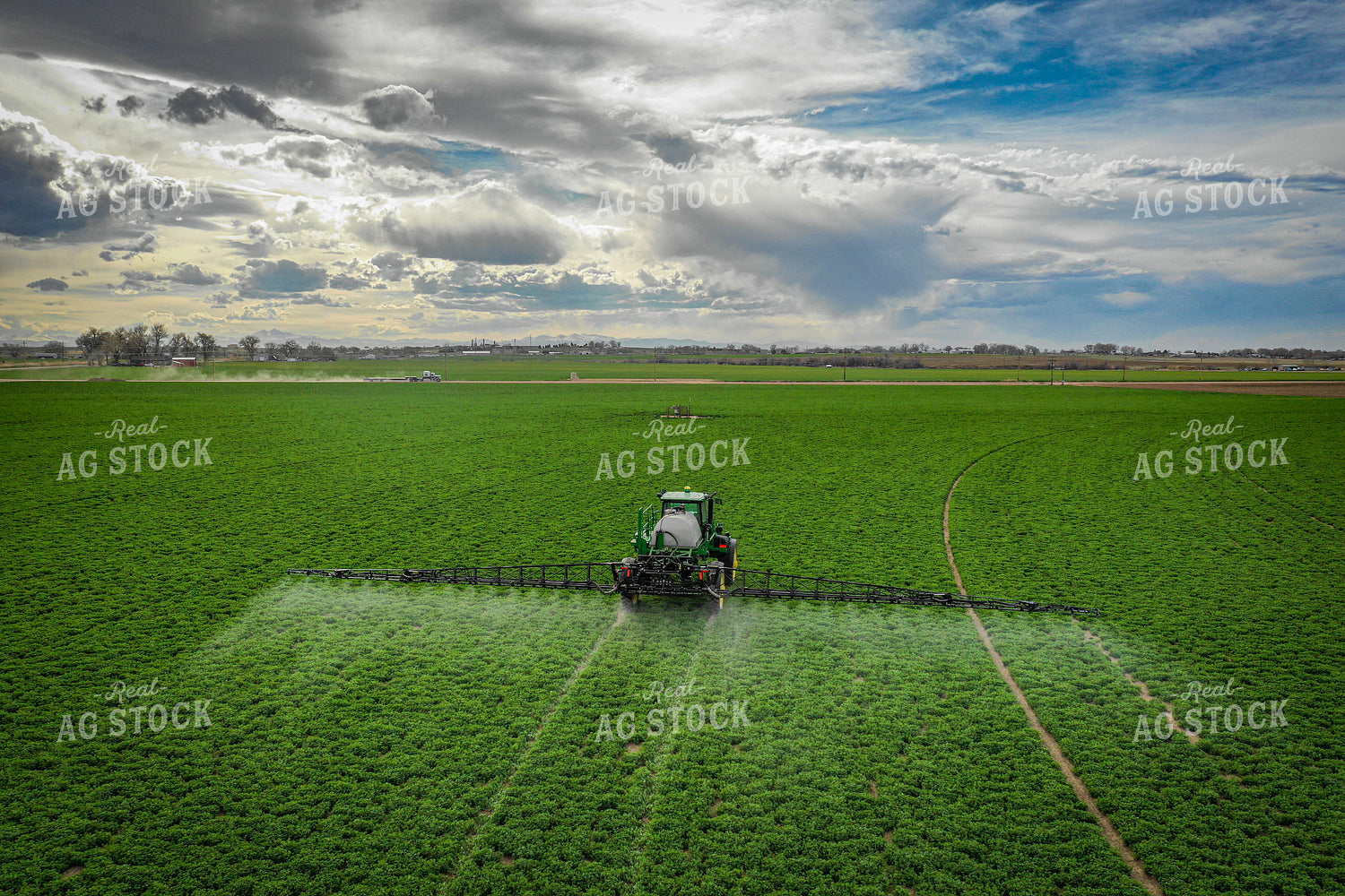 Spraying Alfalfa Hay 56017