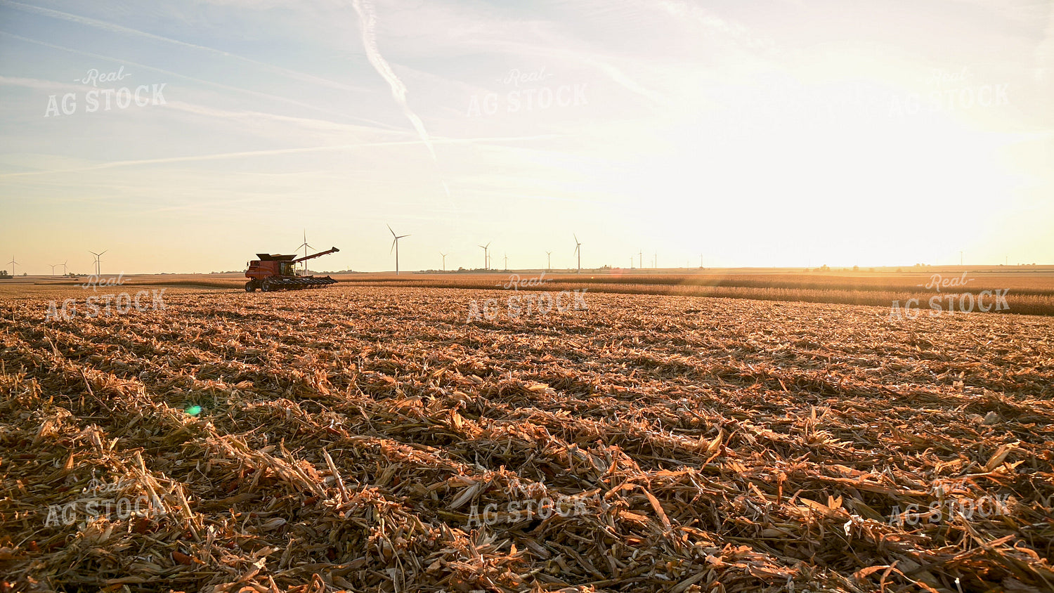 Combine Driving through Field at Sunset 25779