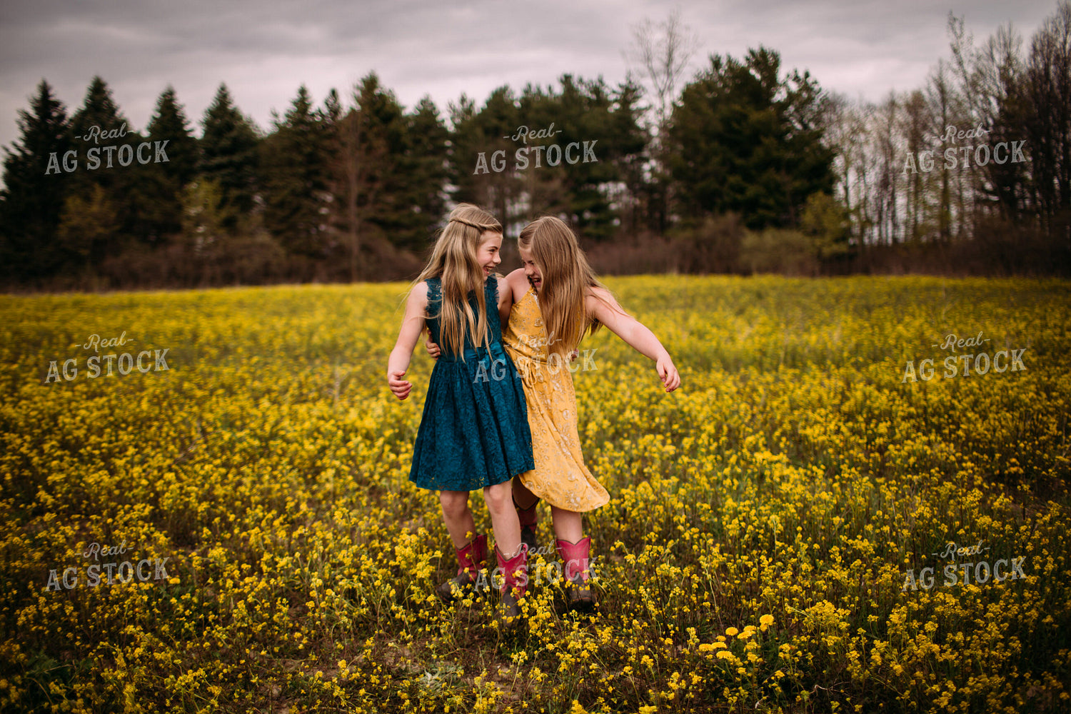 Farm Kids in Wildflower Field 169044