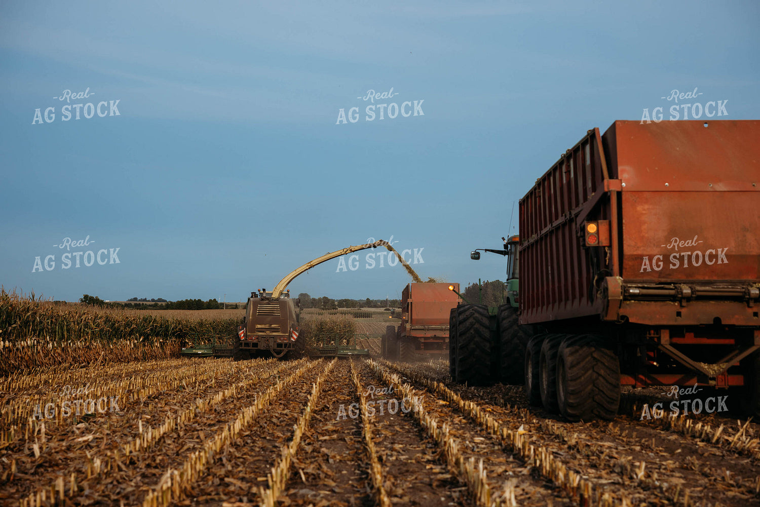 Chopping Corn Silage 152012