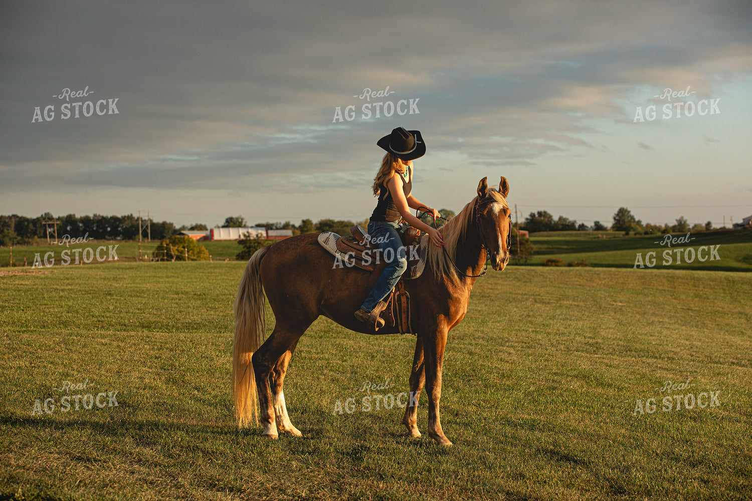 Cowgirl 189019