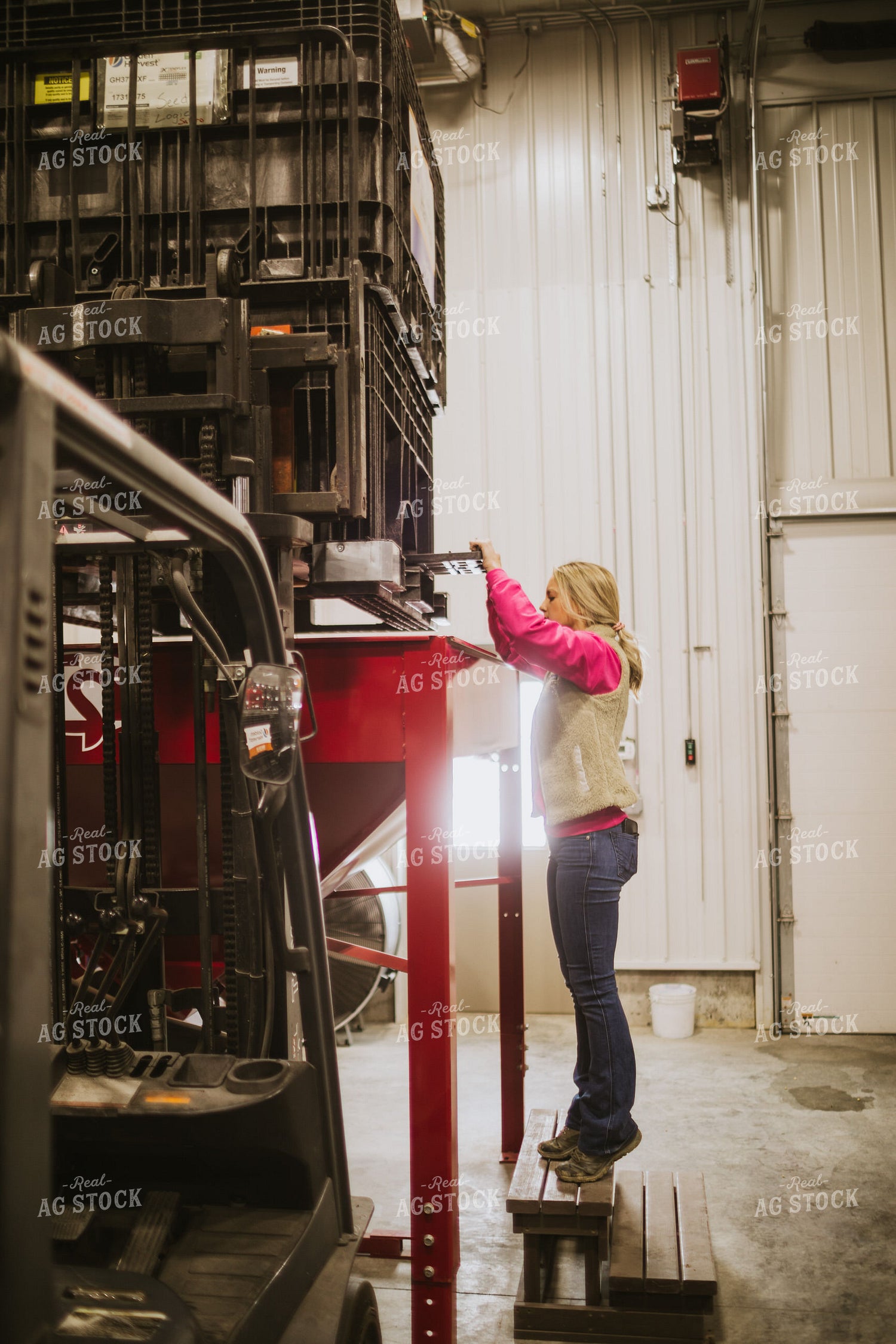 Forklift Operator Emptying Bulk Bin in Seed Warehouse 5349