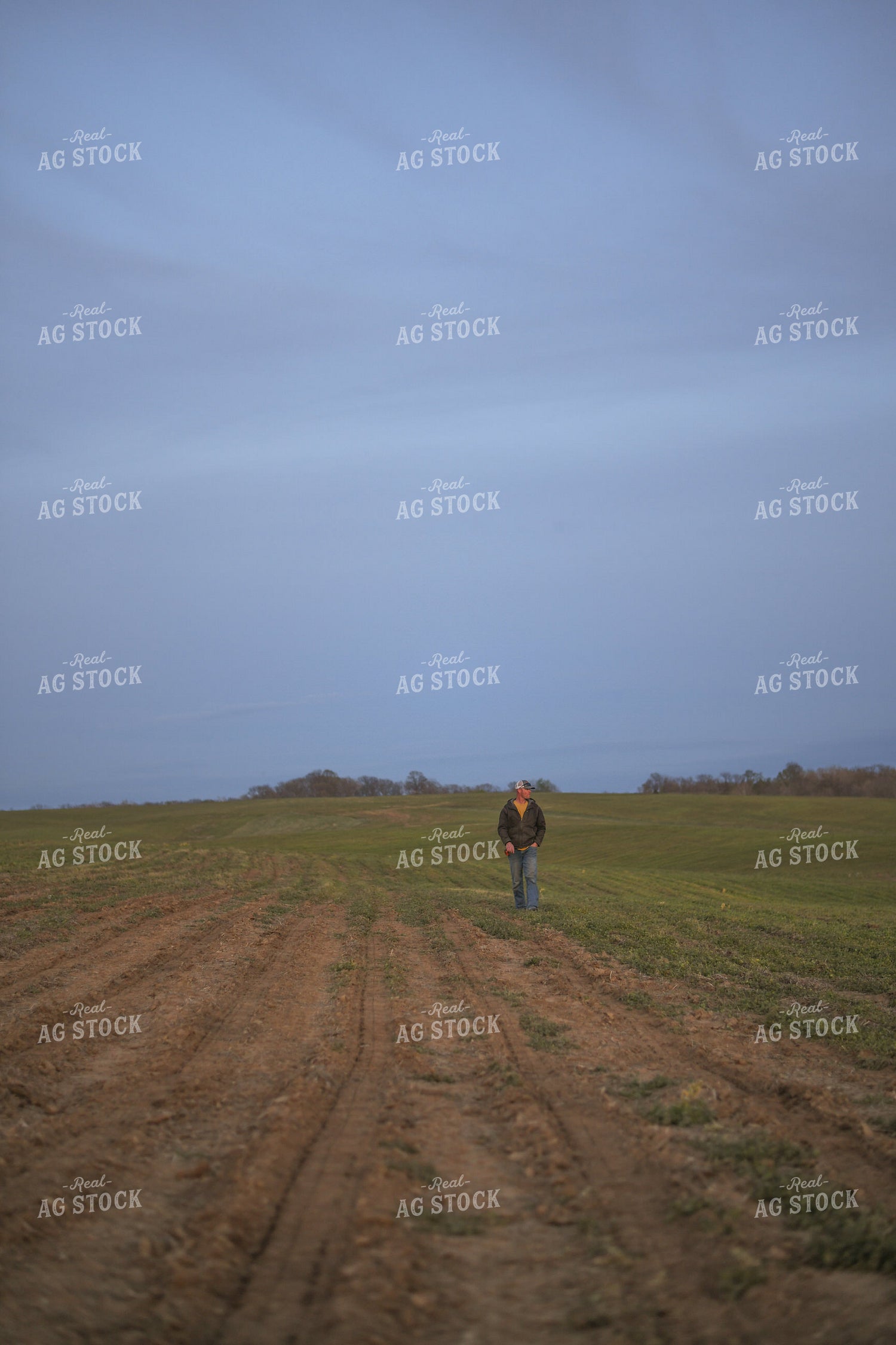 Farmer Scouting Field 191013