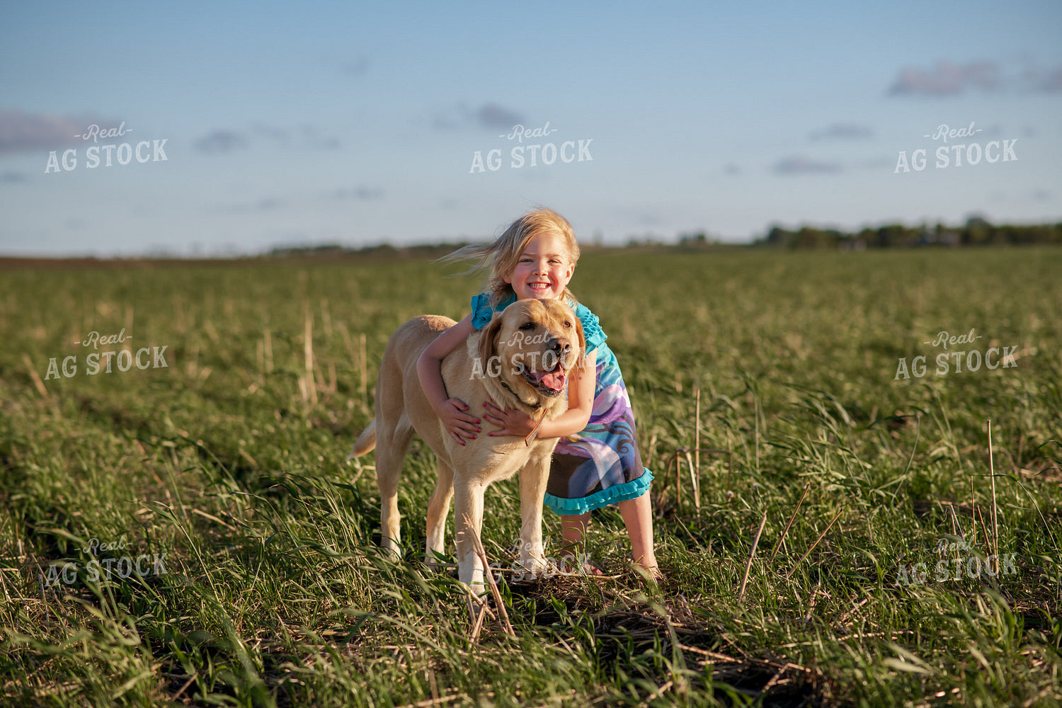 Farm Kid and Dog in Field 76130