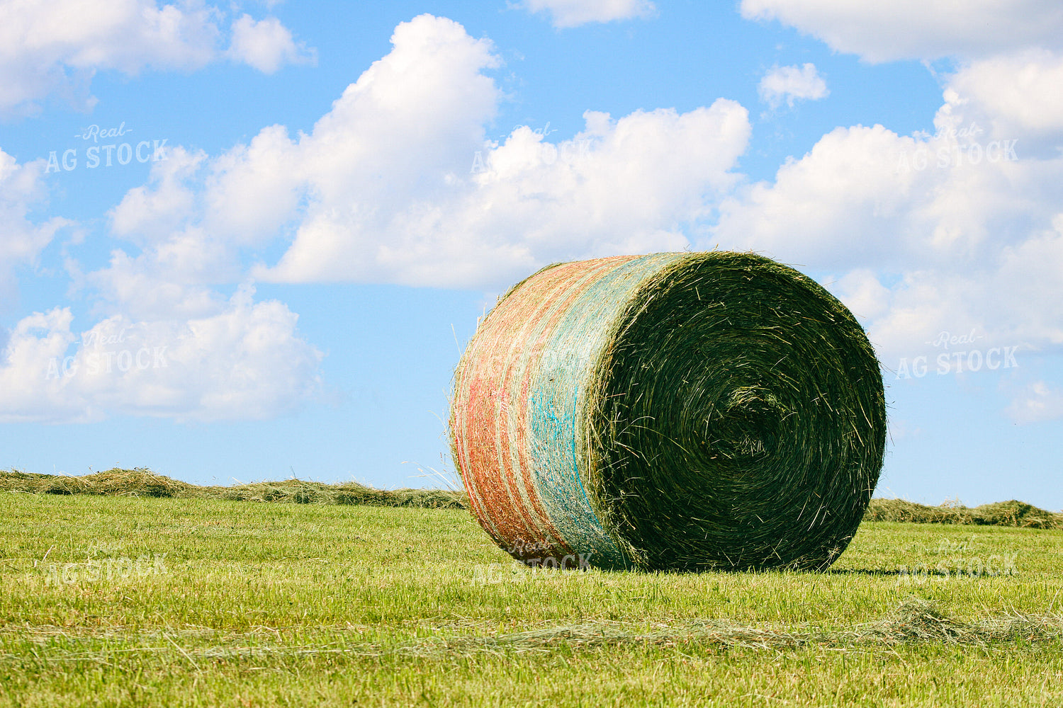 Hay Bale 214037
