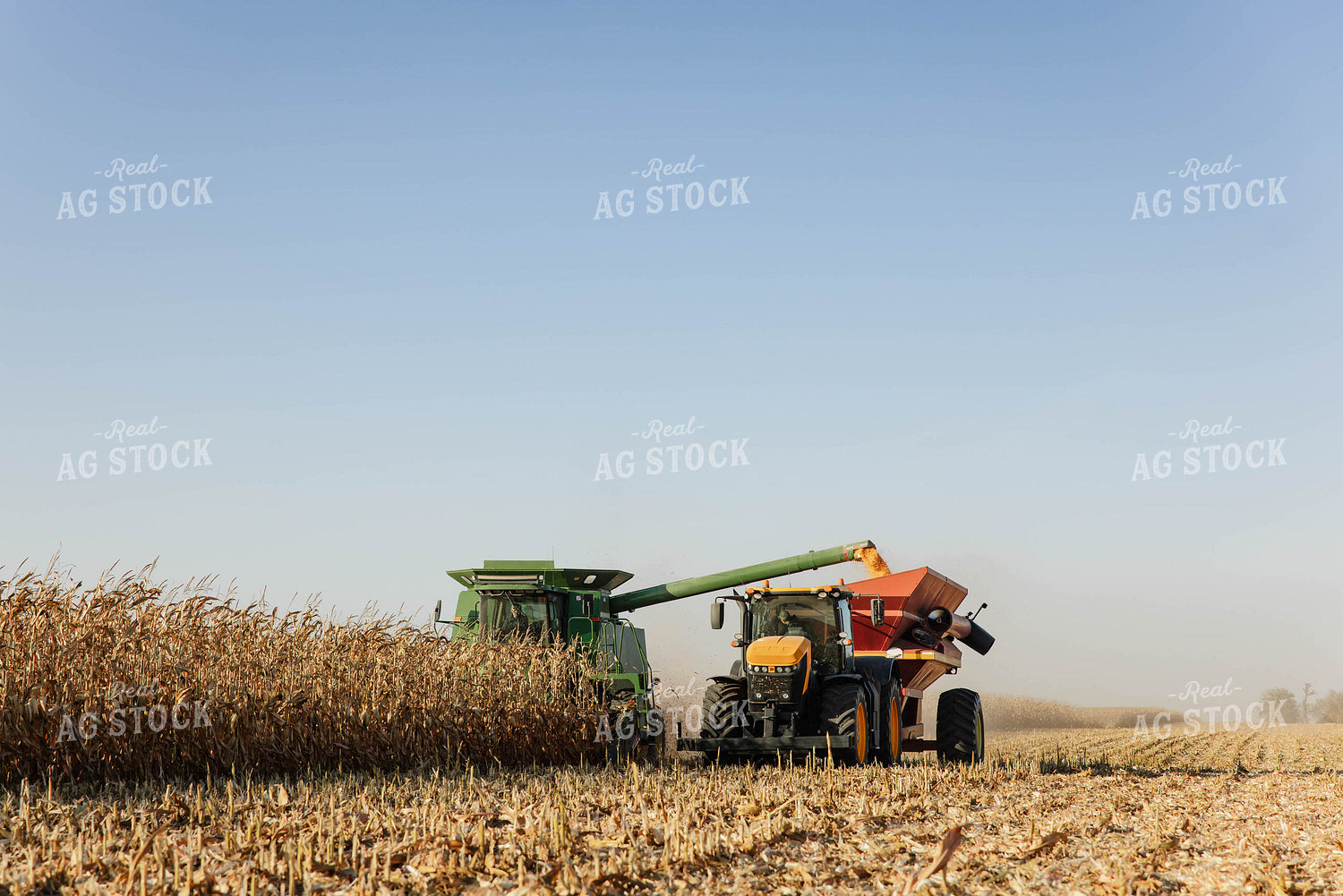 Corn Harvest 152636