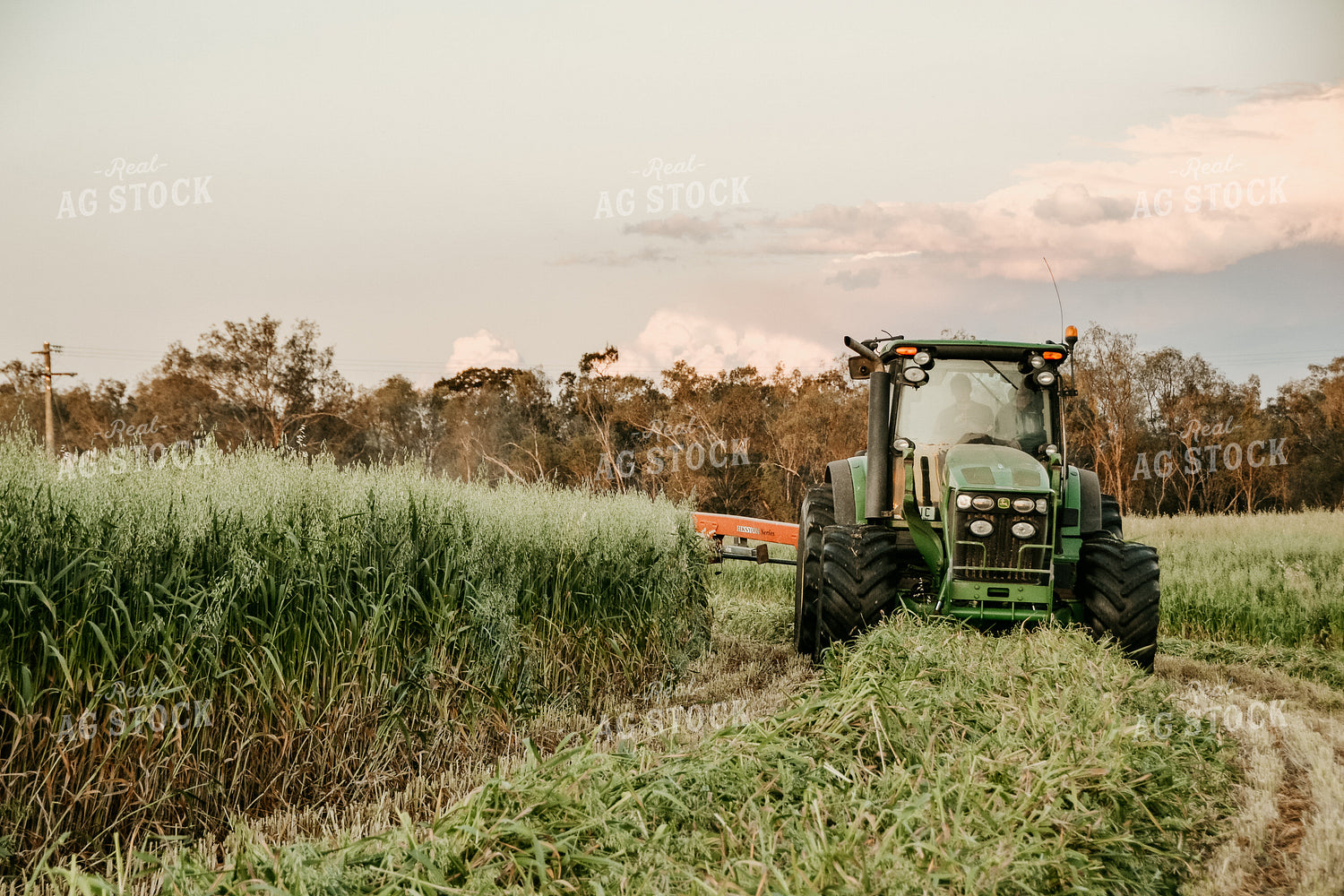 Mowing Pasture Grass Hay 64079