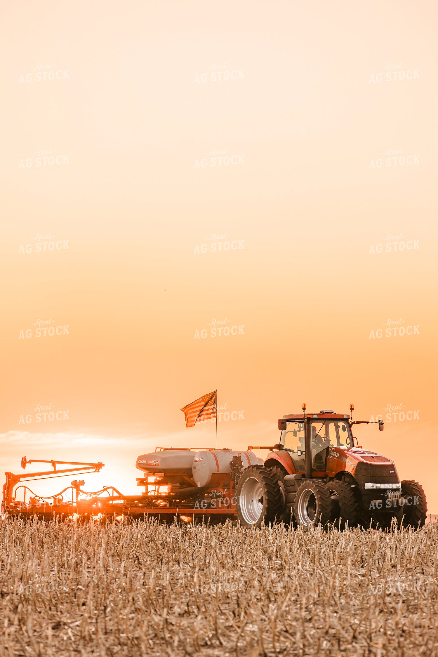 Planting 207031