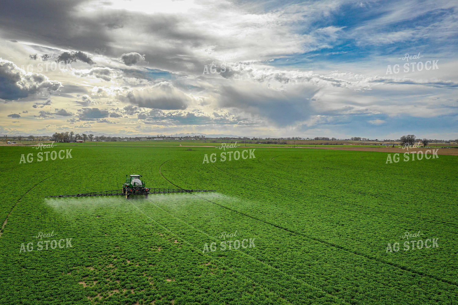 Spraying Alfalfa Hay 56016