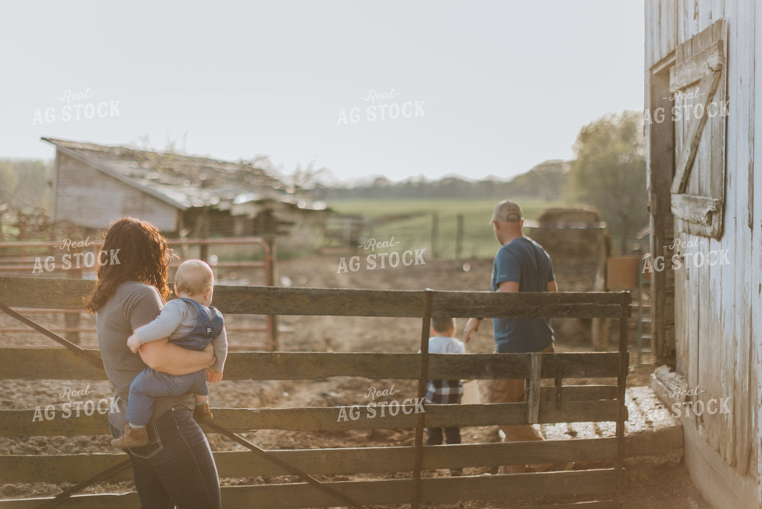 Farm Family in Farmyard 7386