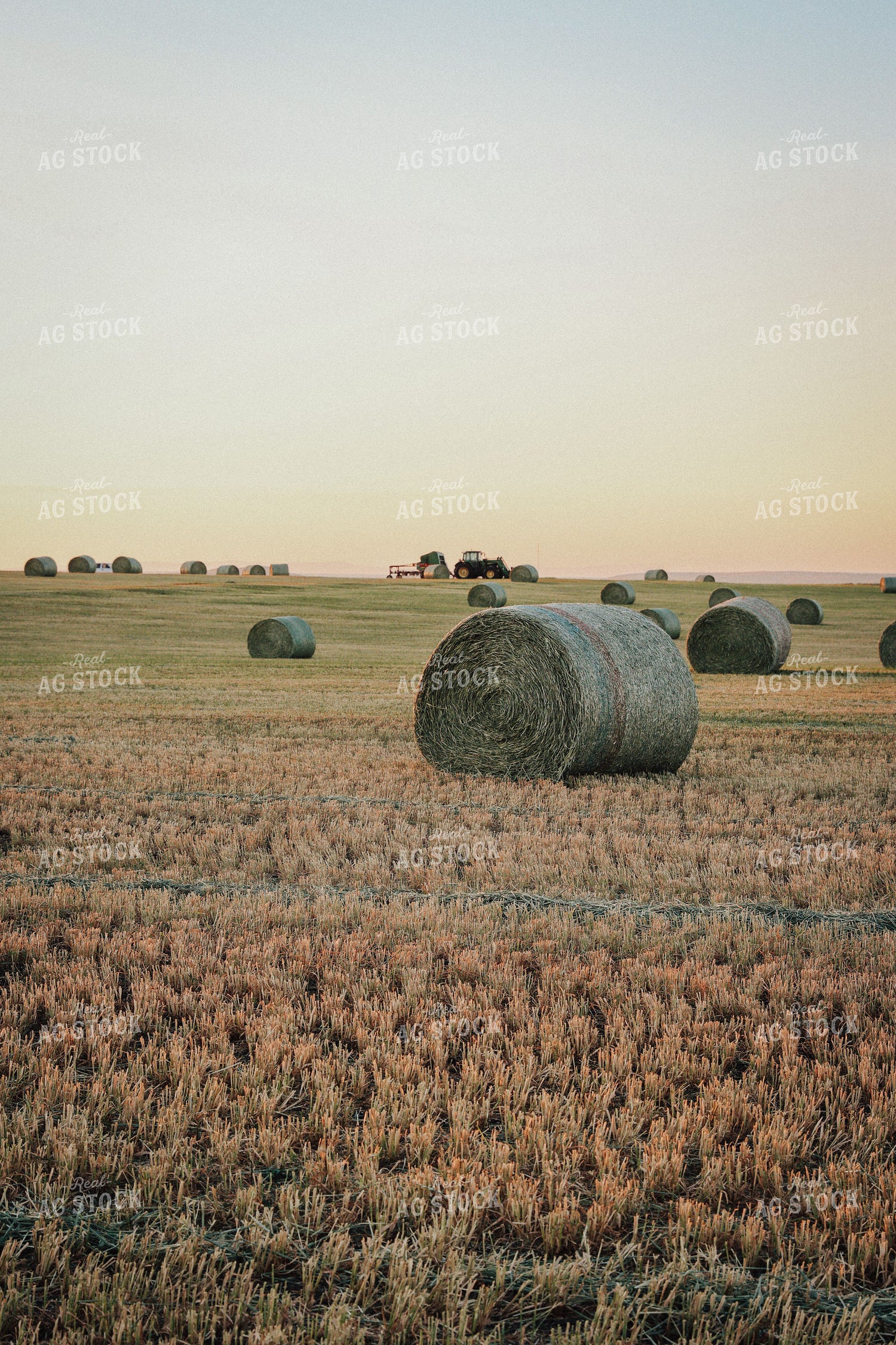 Hay Bales 83089
