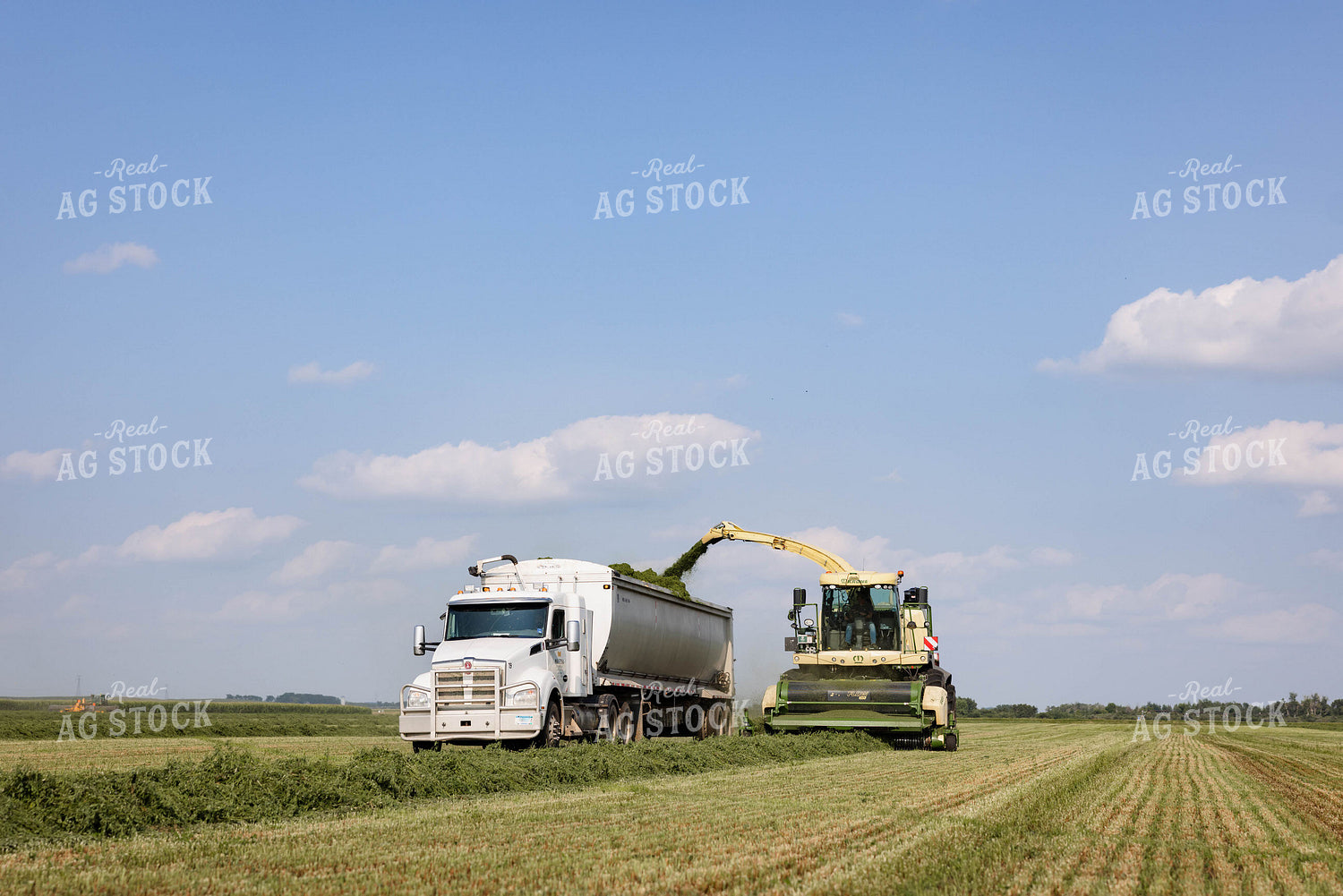 Harvesting Hay 152649
