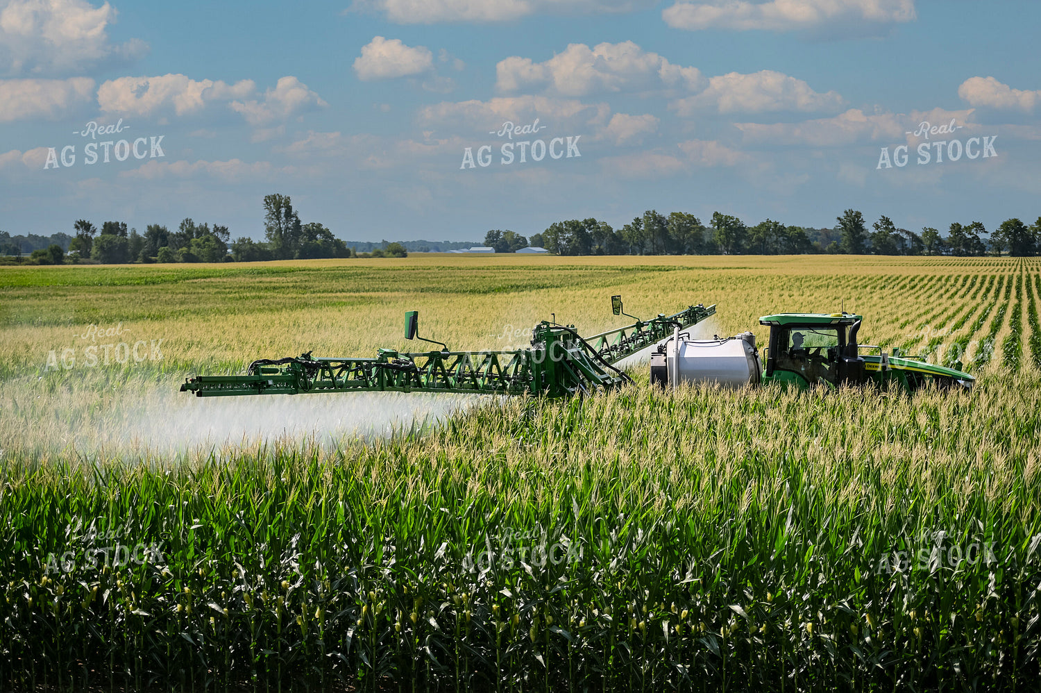 Self-Propellerd Sprayer in Corn Field 90136