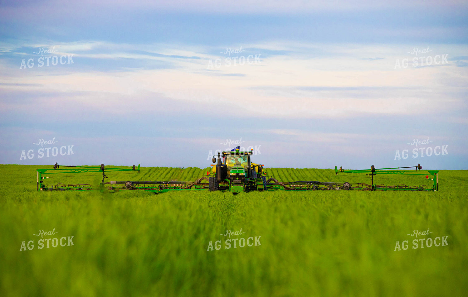 Tractor Plants into Growing Wheat Field 133000