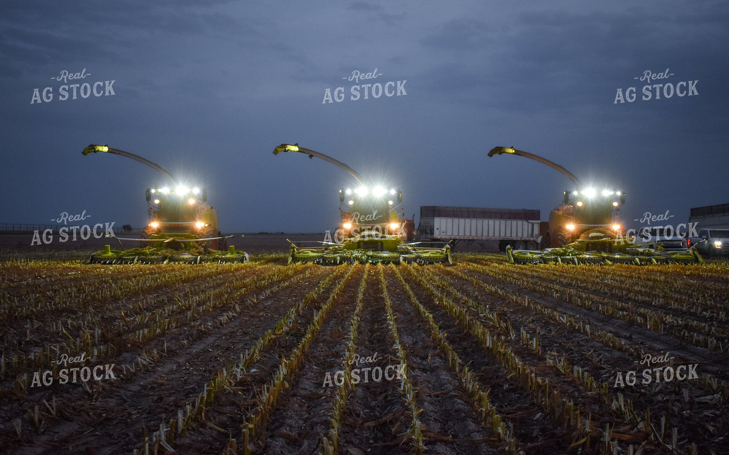 Silage Harvesters at Night 56217