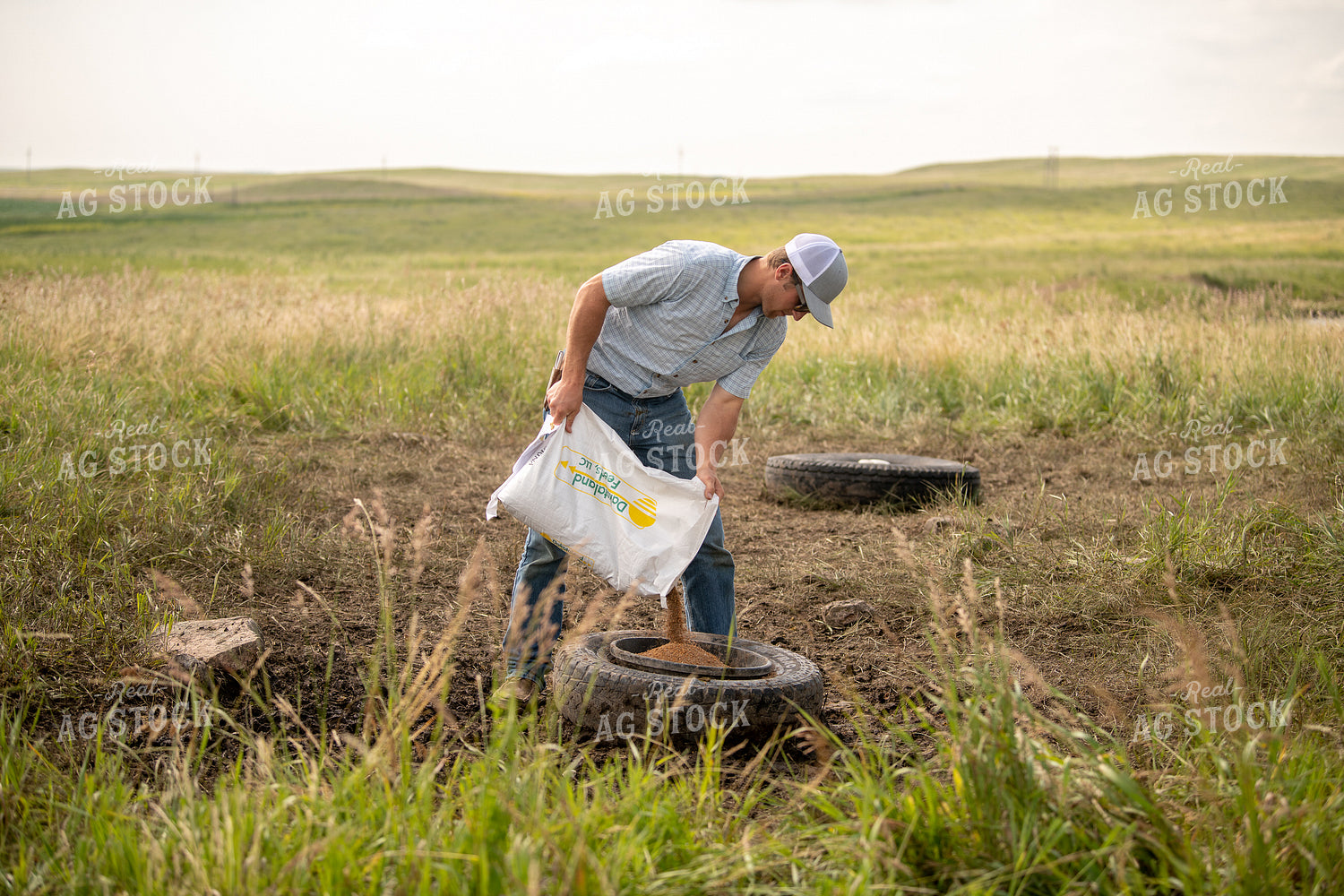 Rancher Pouring Mineral for Cattle 212048