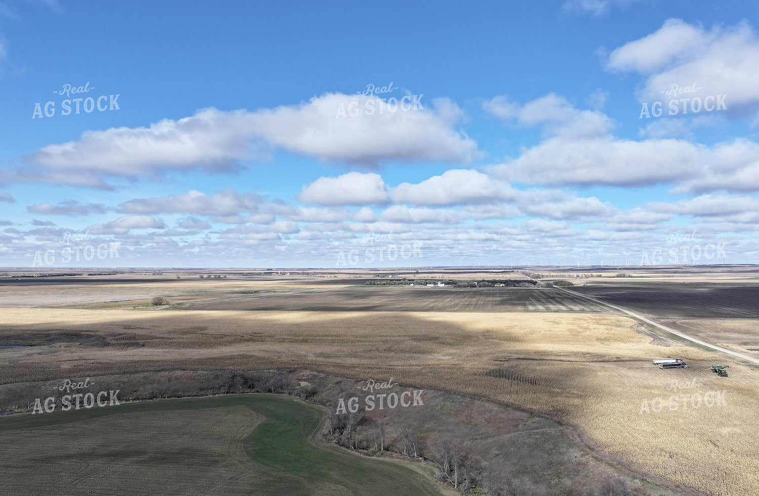 Aerial of Corn Harvest 141087