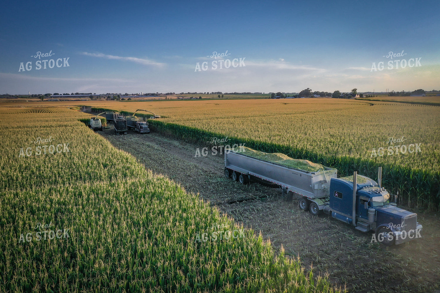 Silage Harvest Drone 56242