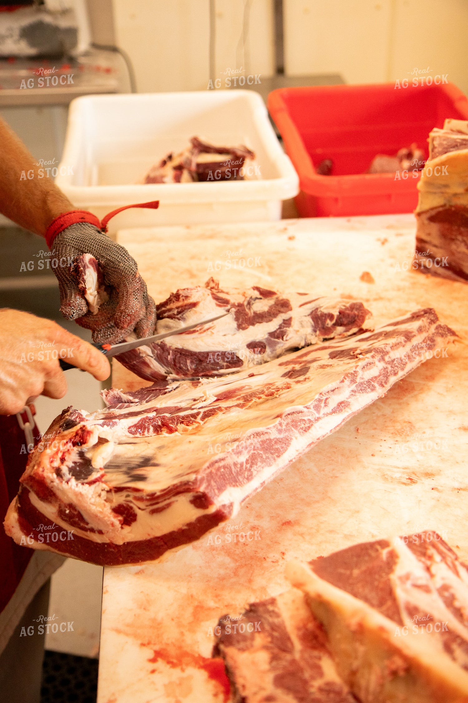 Processing Beef 67497