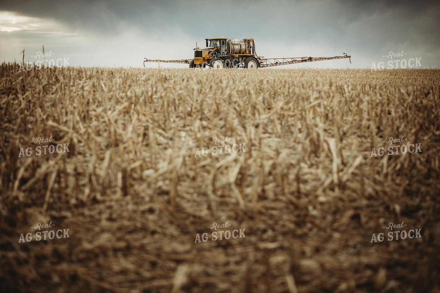 Self Propelled Sprayer Spraying in Corn Field 3661