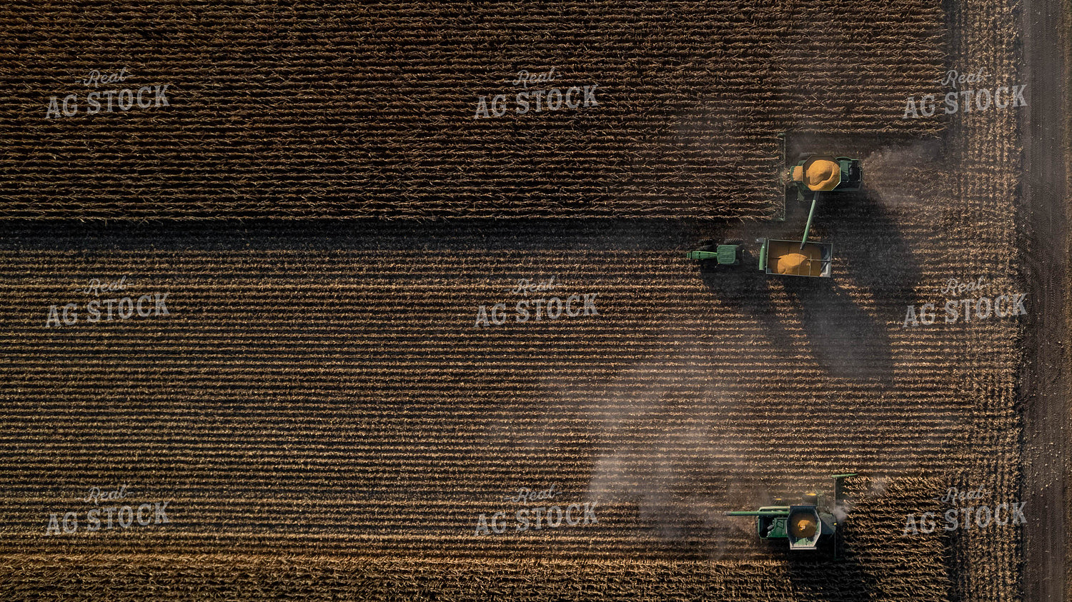 Corn Harvest 114022