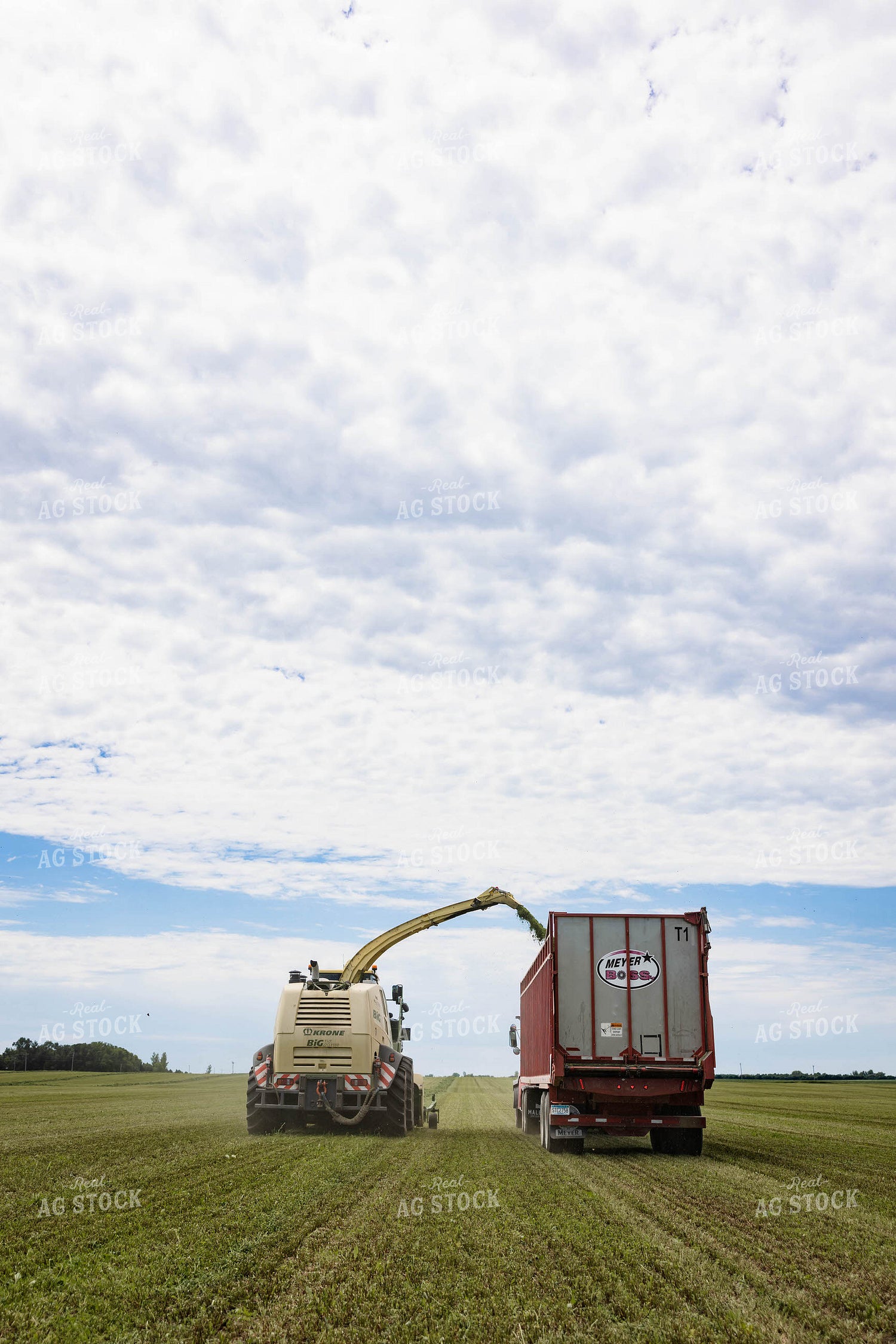 Harvesting Hay Silage 152445