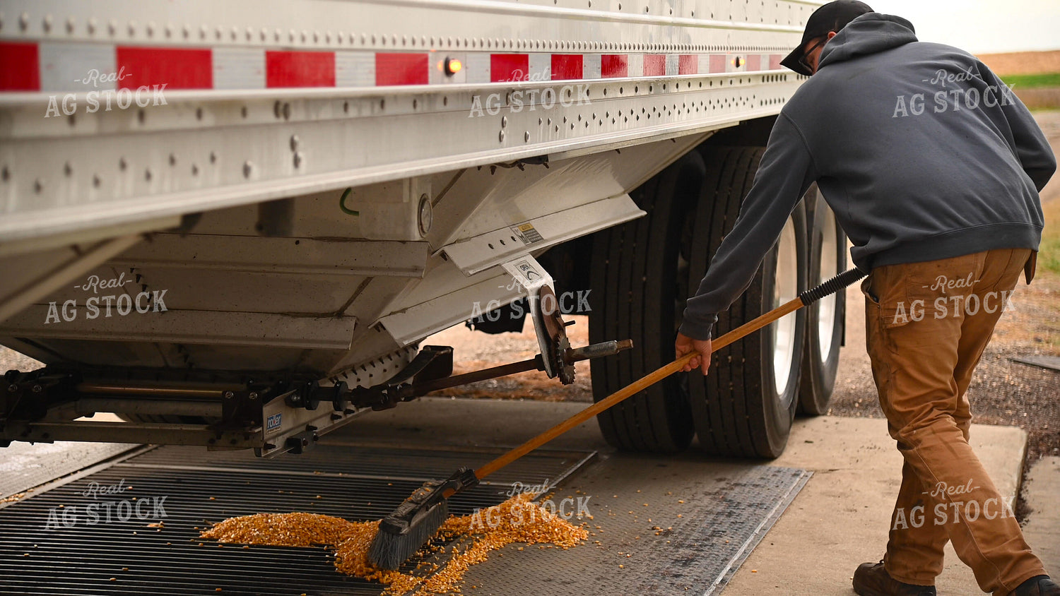 Farmer Sweeping Corn into On-farm Storage Grain Pit 25661