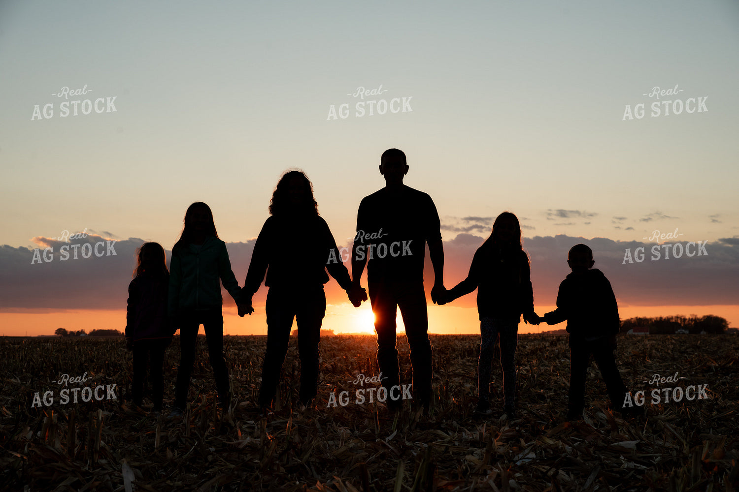 Farm Family in Field 76545