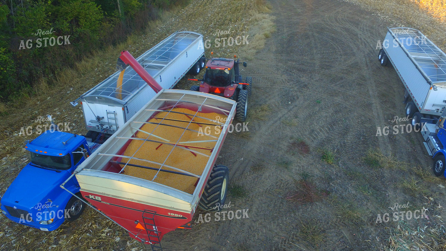 Wagon Unloading Corn into Semi 85038
