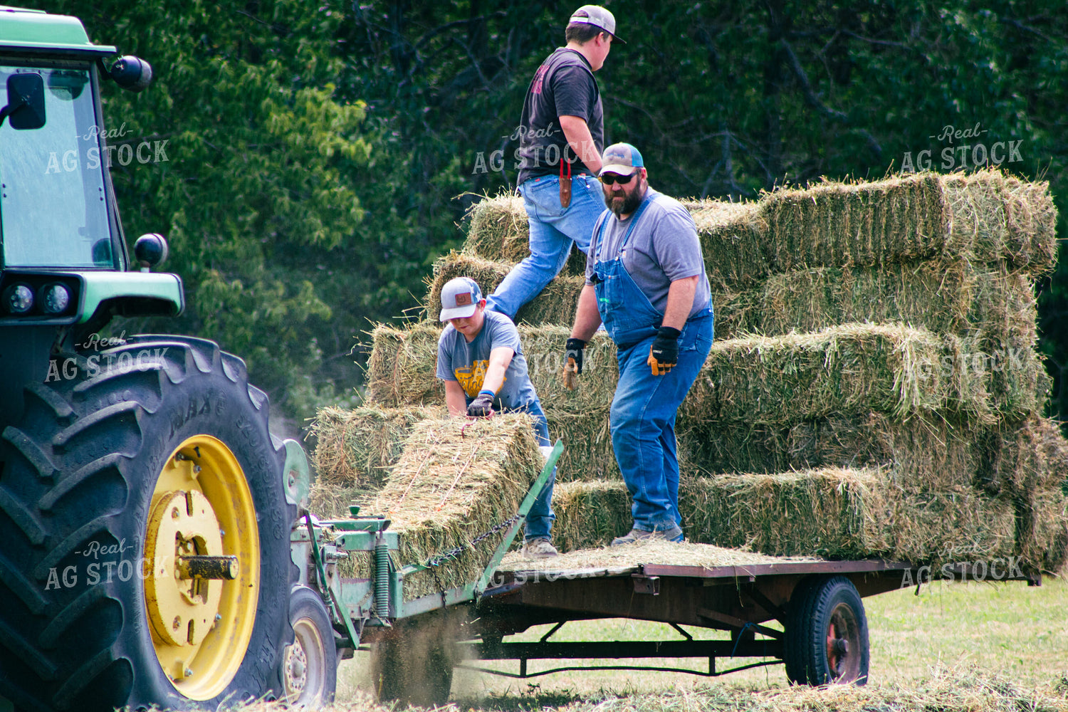 Harvesting Hay 214079